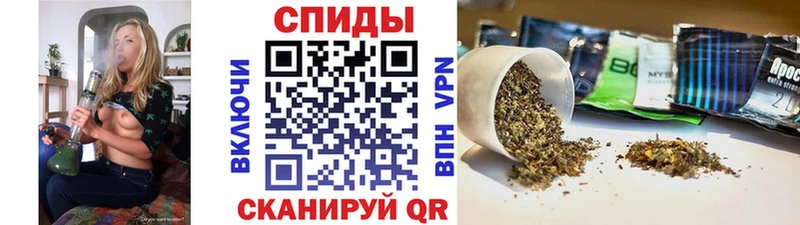 БУТИРАТ BDO  Инта 