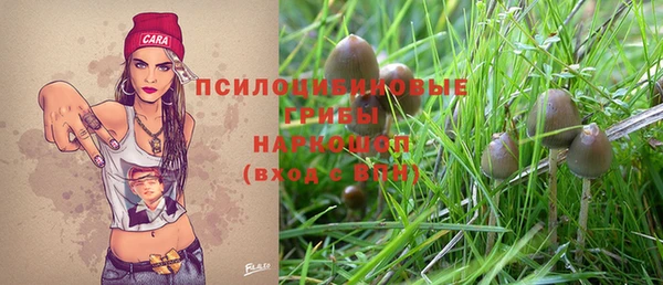 трава Верхний Тагил